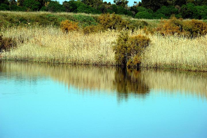 1Saline di Priolo 16.1.2011 (124).jpg